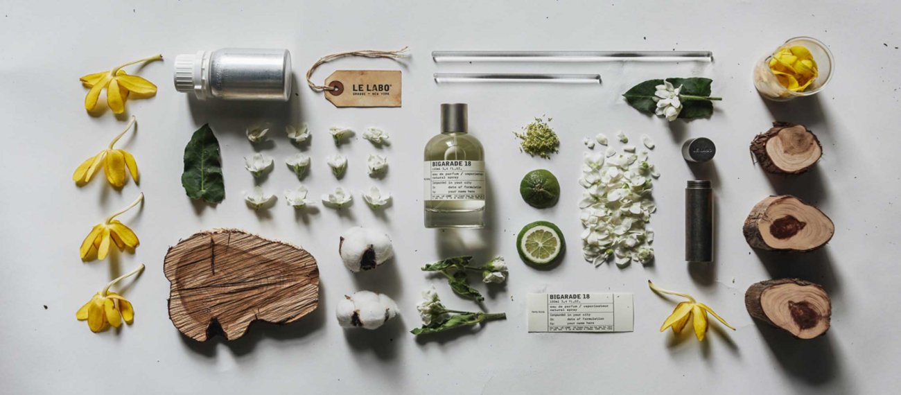 backend=imagemagick;version=1;